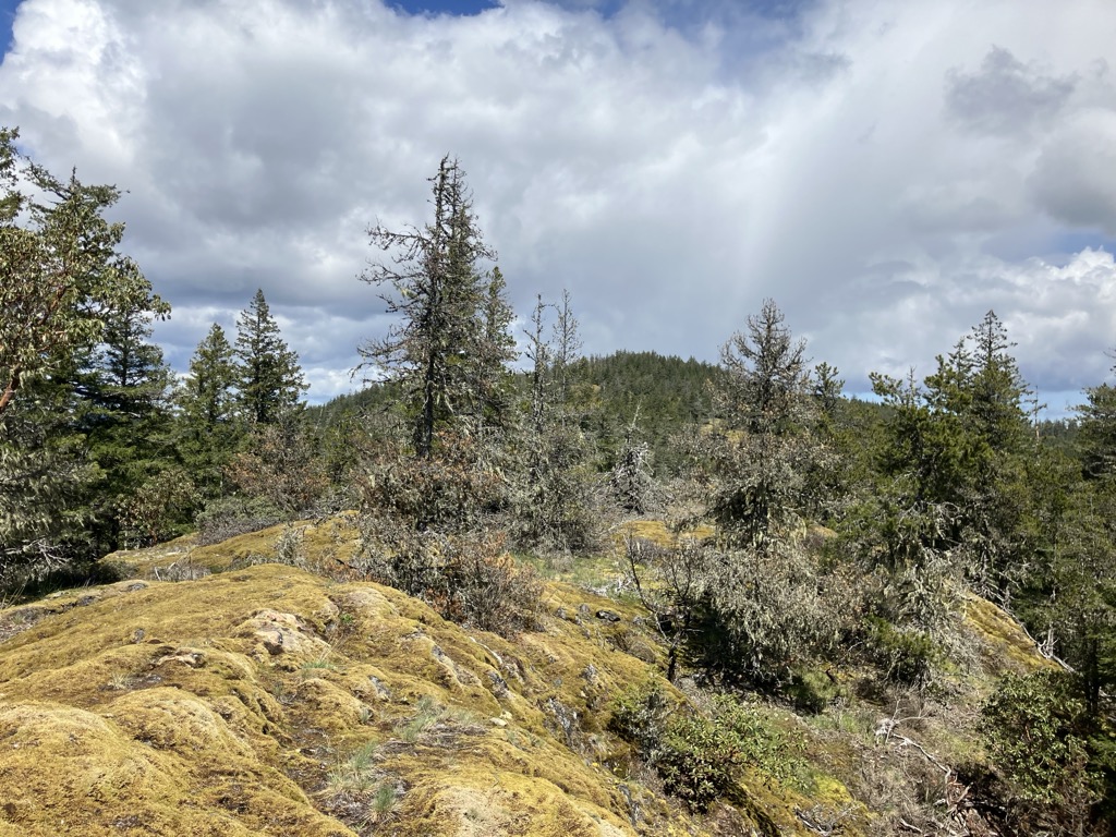 Photo №2 of Princess Peak