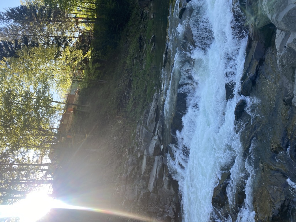 Photo №2 of Probii