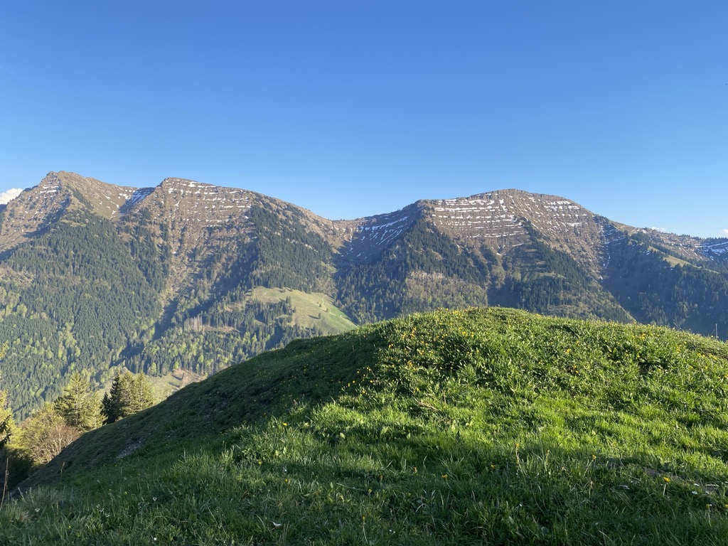 Photo №1 of Prodel