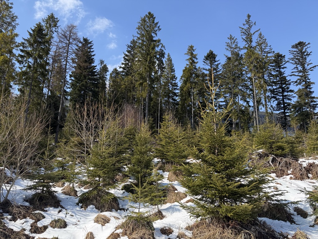 Photo №2 of Przypór / Prípor