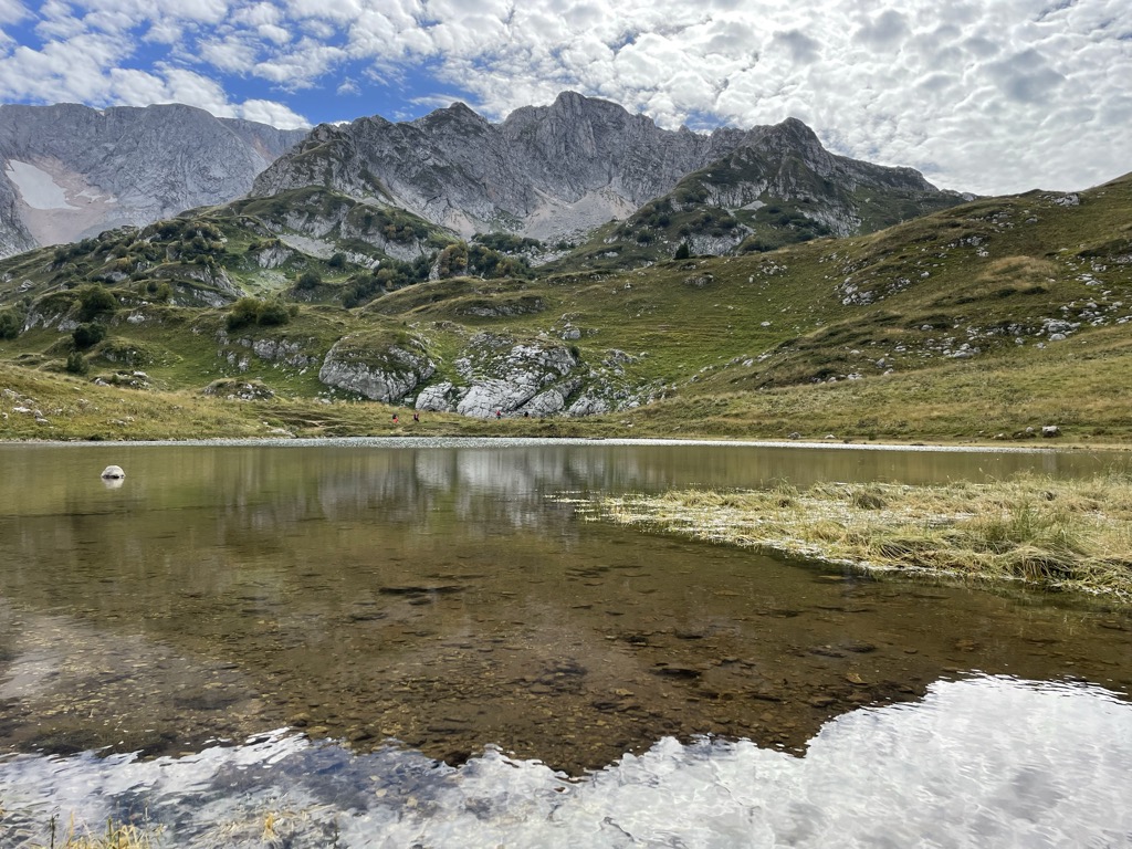 Photo №2 of Psenodah
