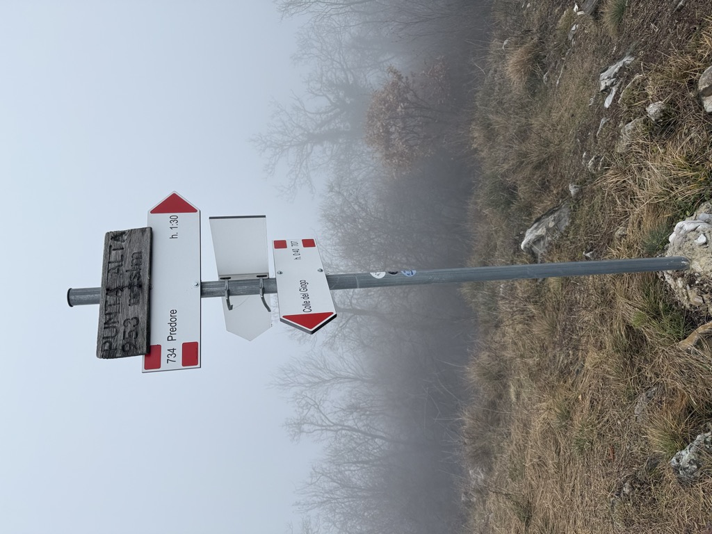 Photo №1 of Punta Alta