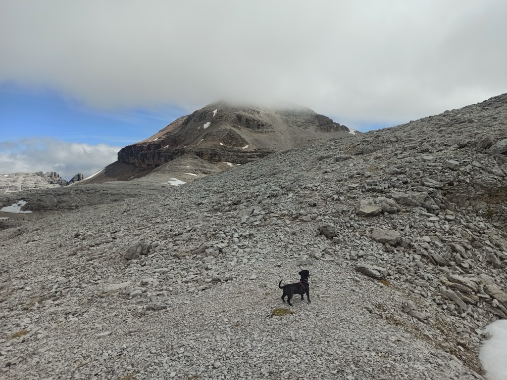 Photo №2 of Punta de Joel