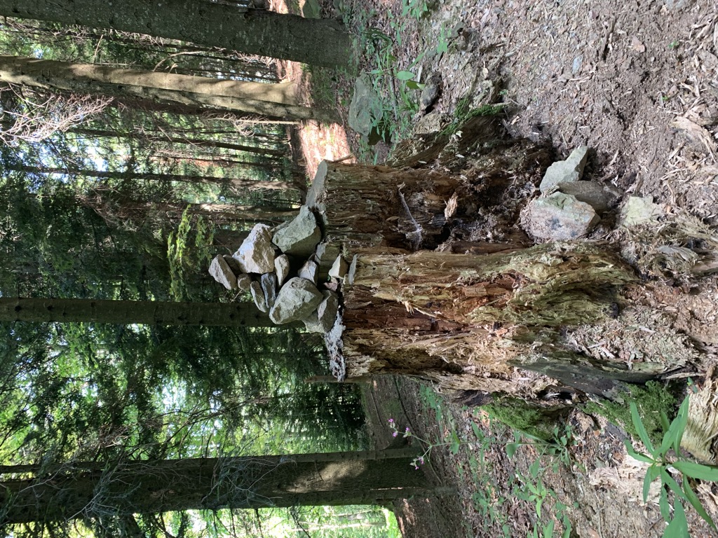 Photo №2 of Puntijarka