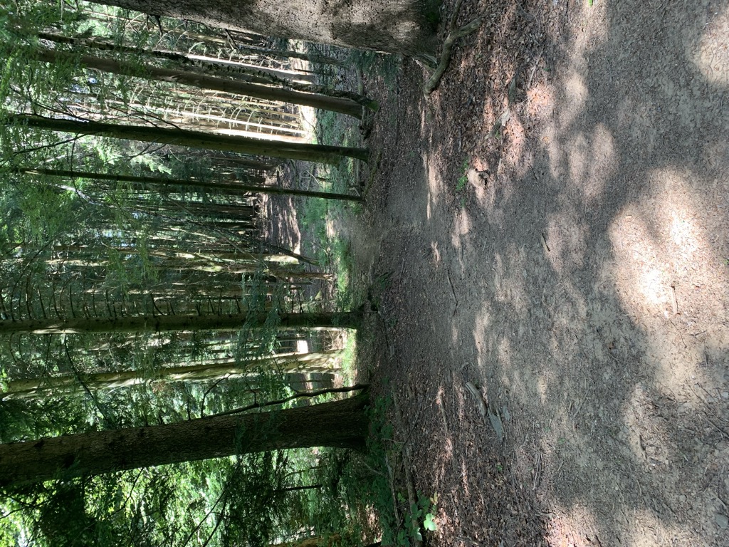 Photo №1 of Puntijarka