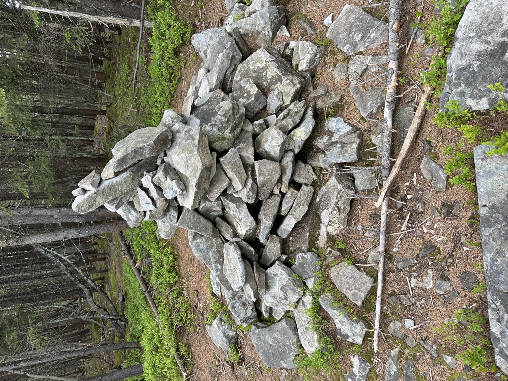 Photo №1 of Pustoshak Velykyi