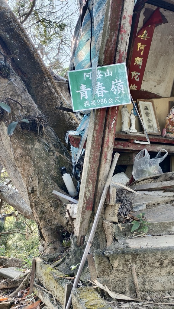 Photo №2 of Qīngchūn Lǐng