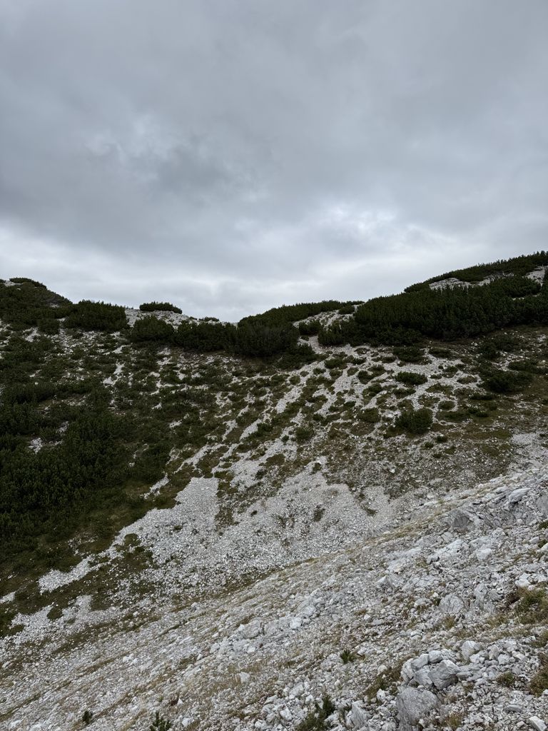 Qafa Ndroçkës