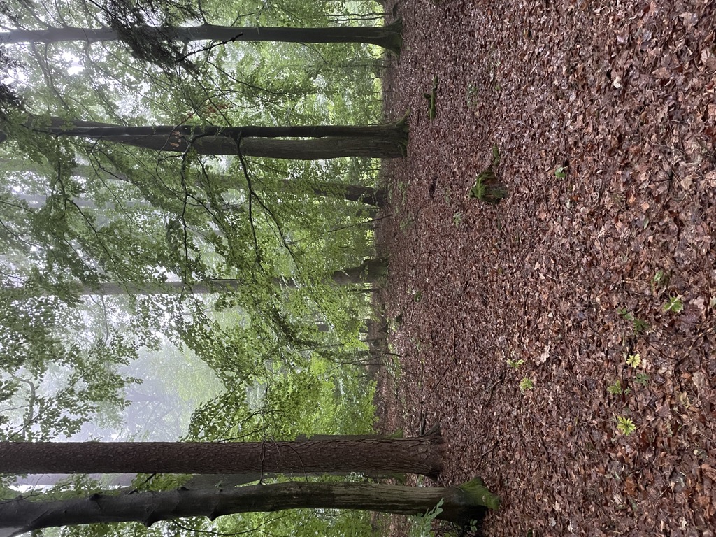 Photo №2 of Rabengrundkopf