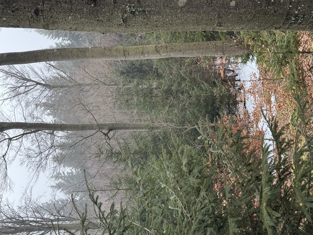 Photo №2 of Radenstein