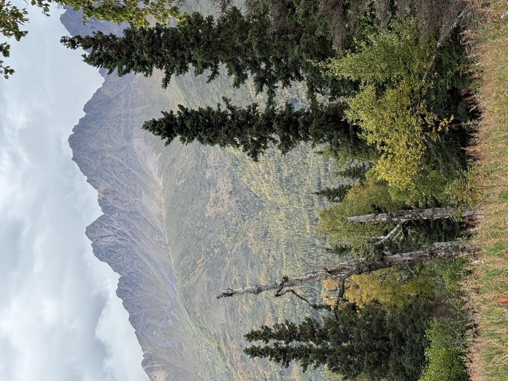 rainbow-trout-cabin