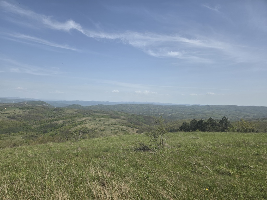 Photo №1 of Rakobarski vis