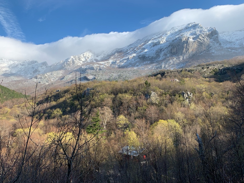 ramica-dvori