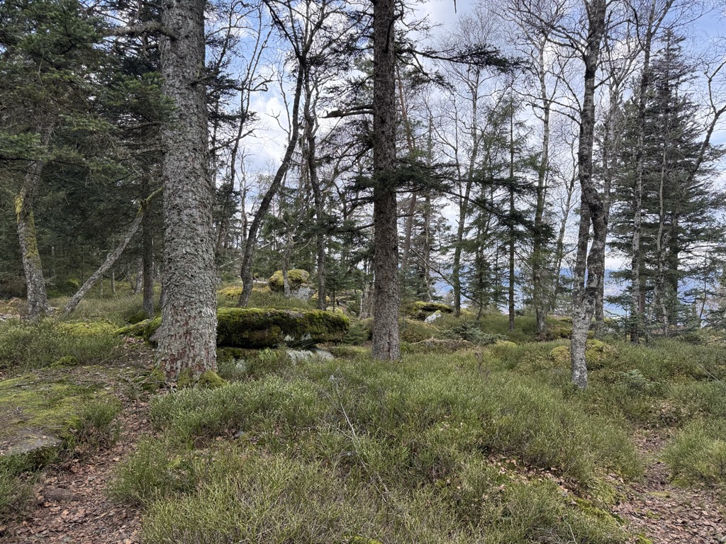 Photo №2 of Rammelfels