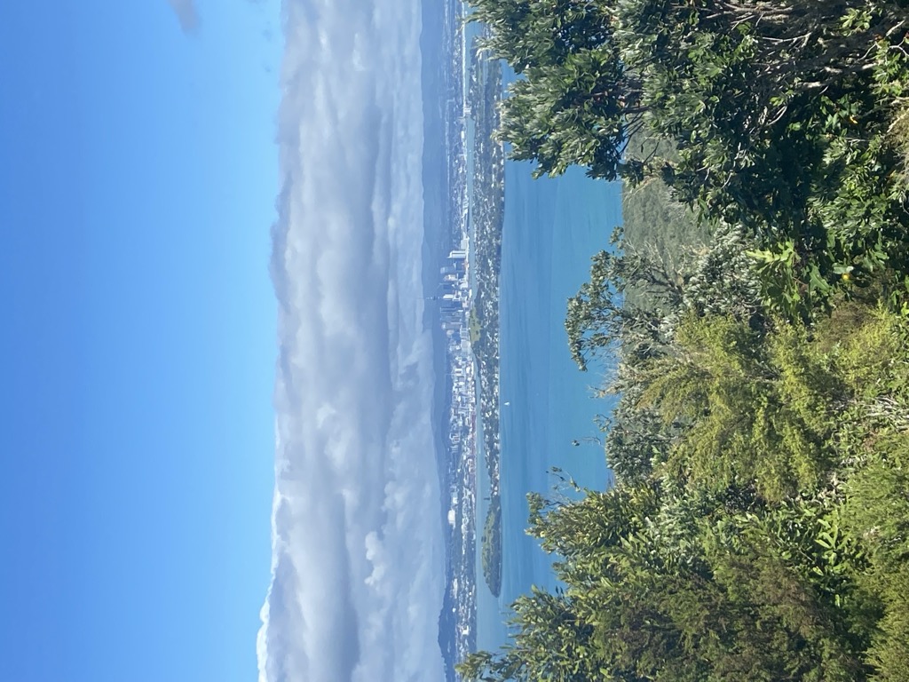 Photo №1 of Rangitoto