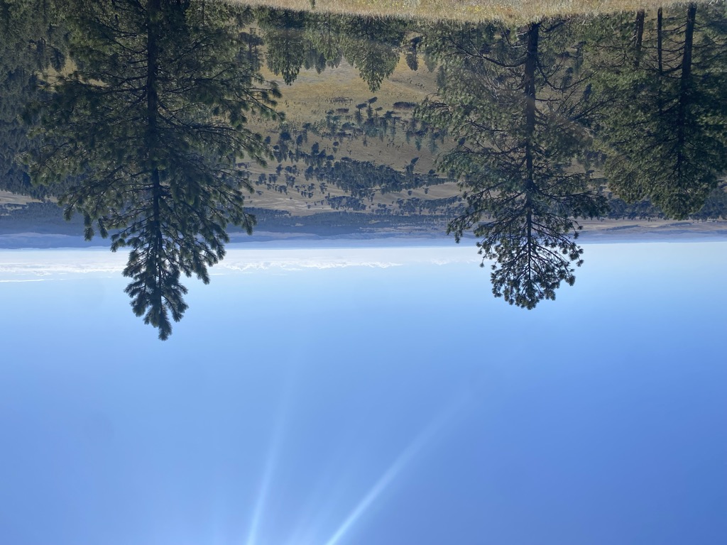 Rankin Ridge