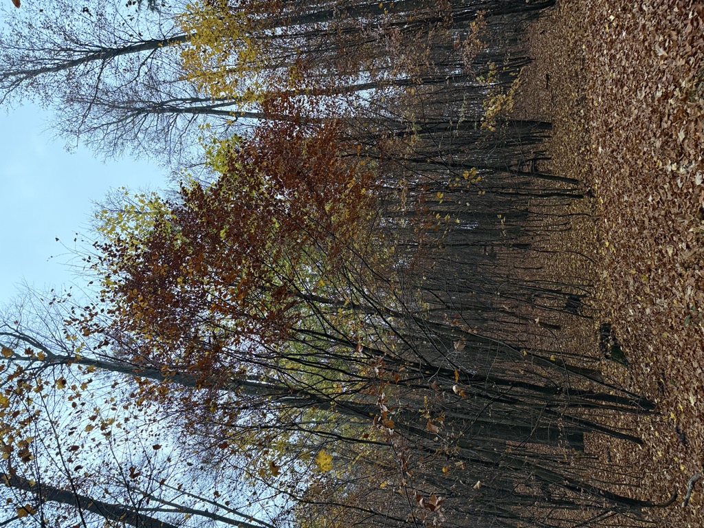 Photo №2 of Ransberg