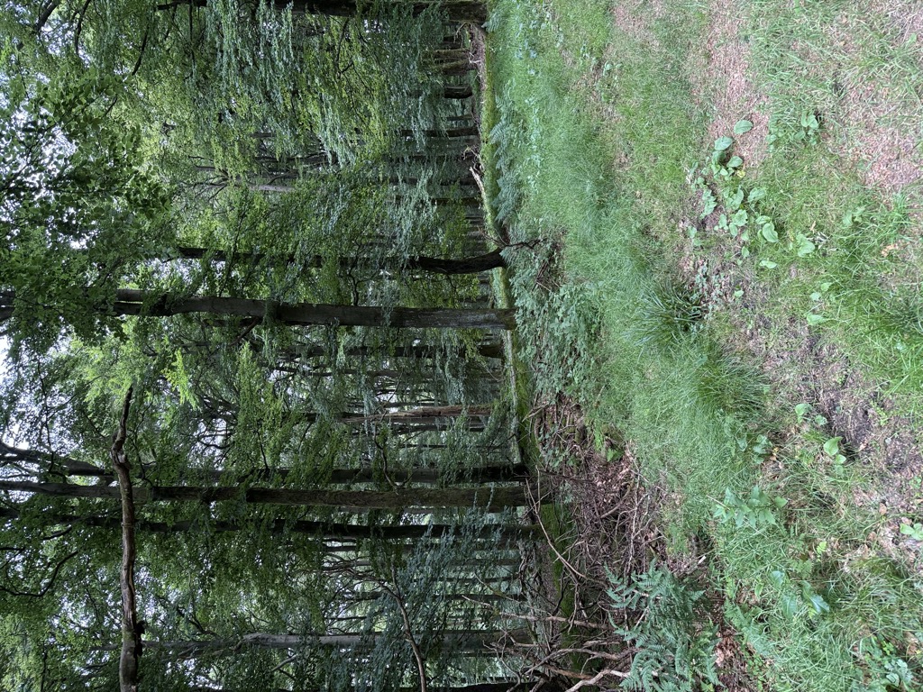 Photo №2 of Reetsberg