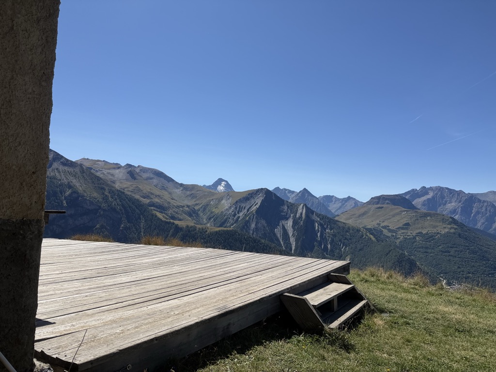 Refuge des chatons