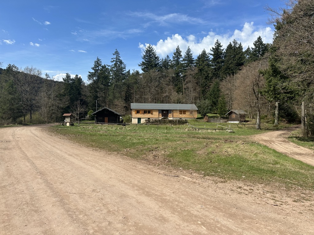 refuge-du-spitzenberg-selestat