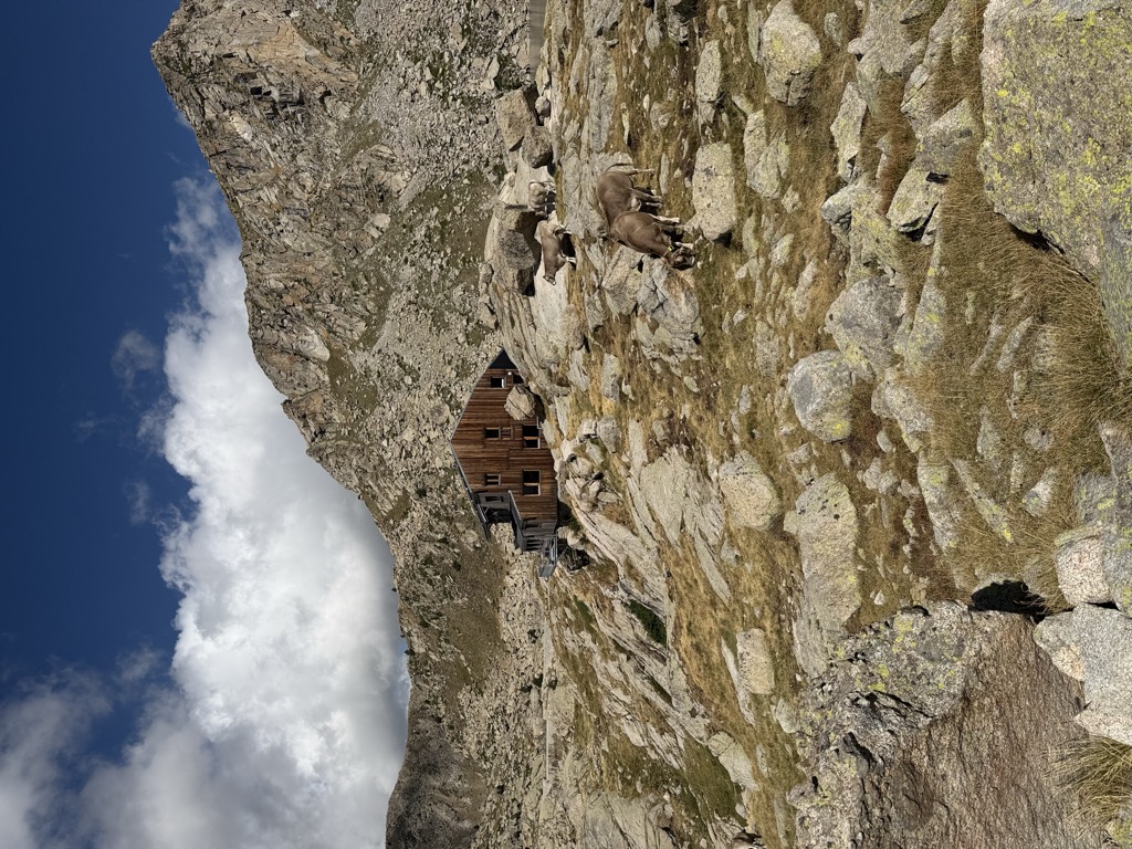 Refugi Colomina