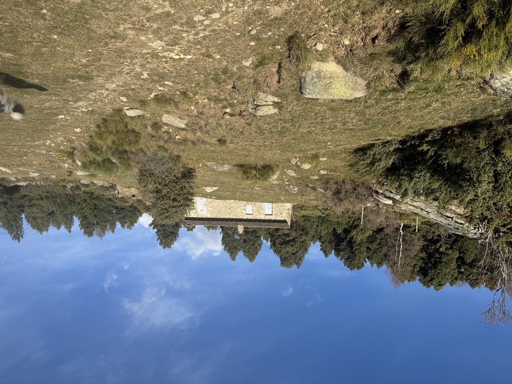 refugi-forestal-de-les-cases-1