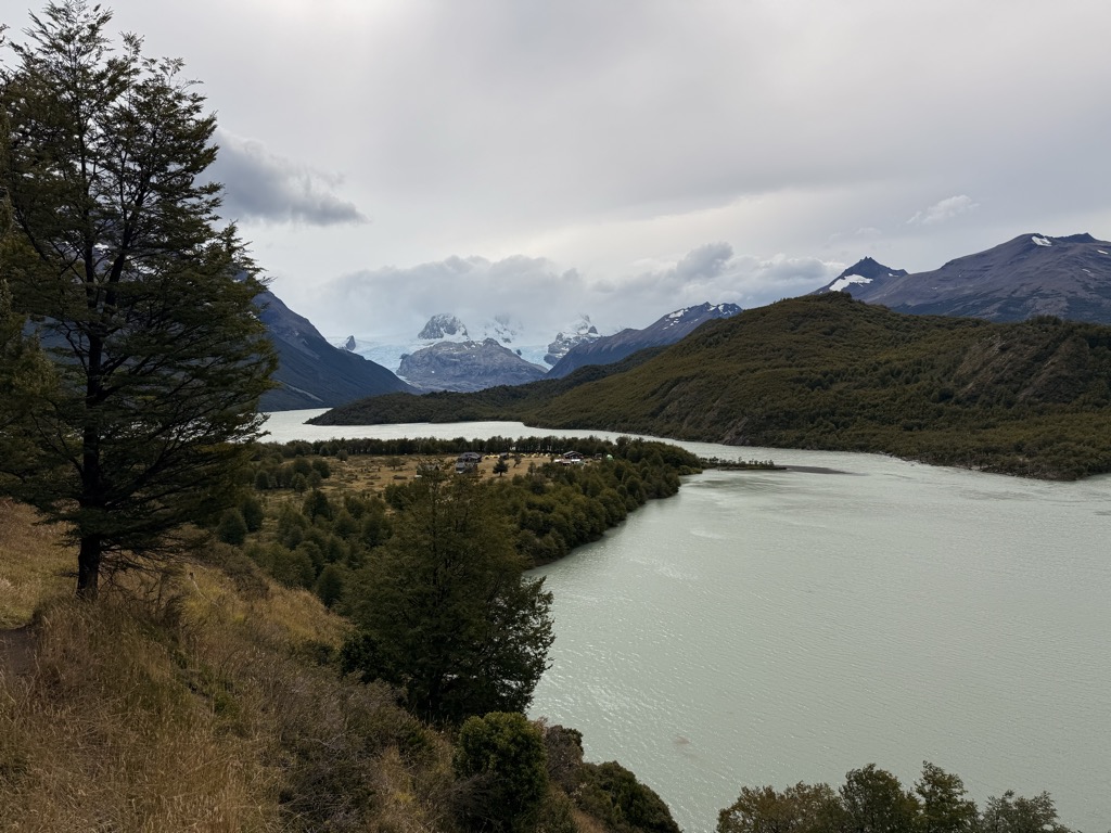 refugio-dickson-1