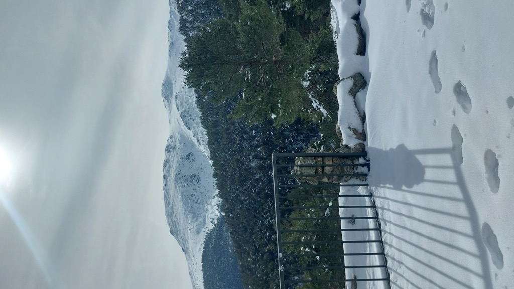refugio-el-pingarron