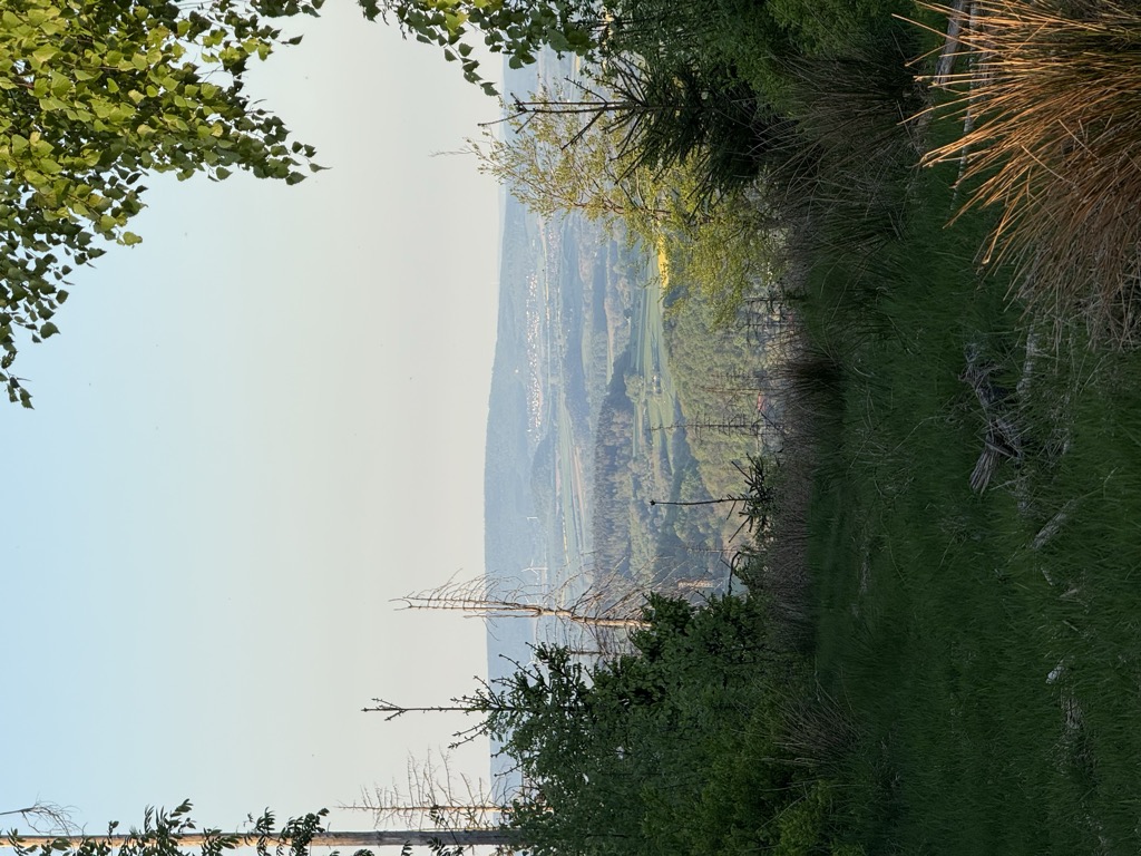 Photo №2 of Rehberg