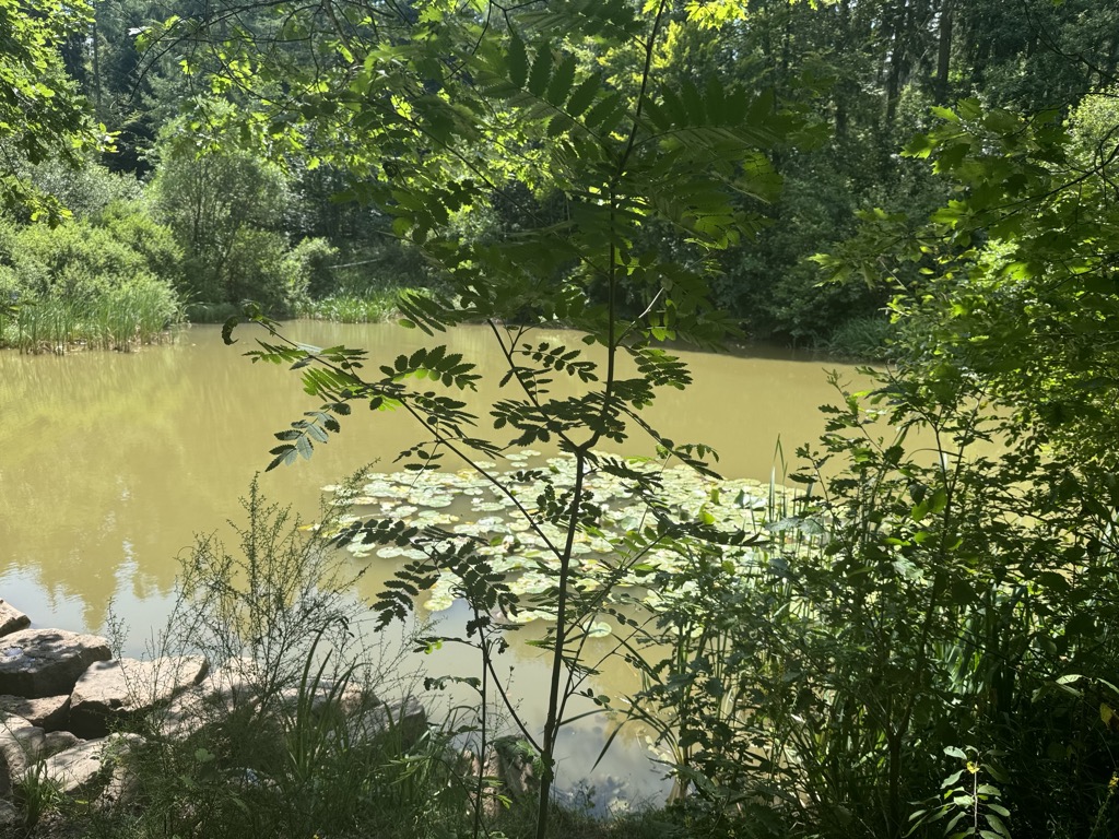 Photo №2 of Reihersee