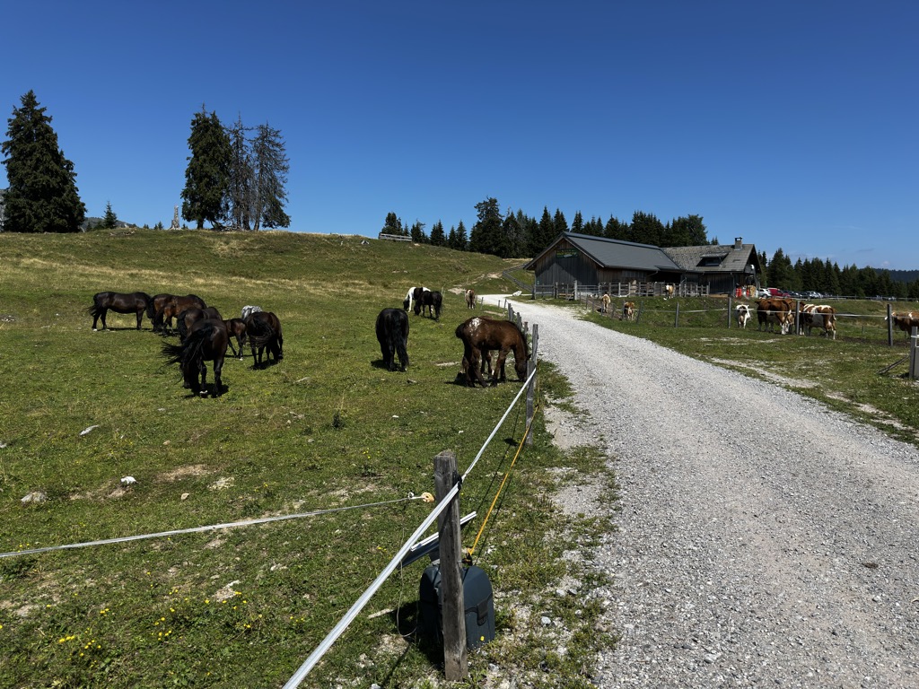 reisacher-jochalm-1