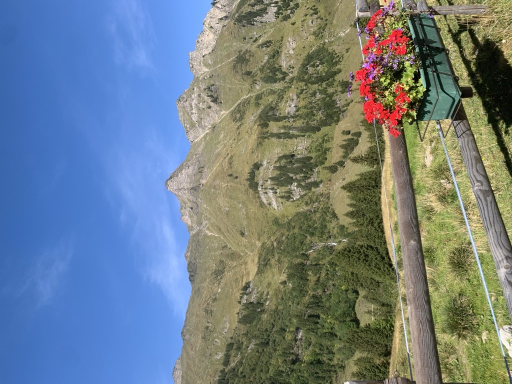 restaurant-tovassiere