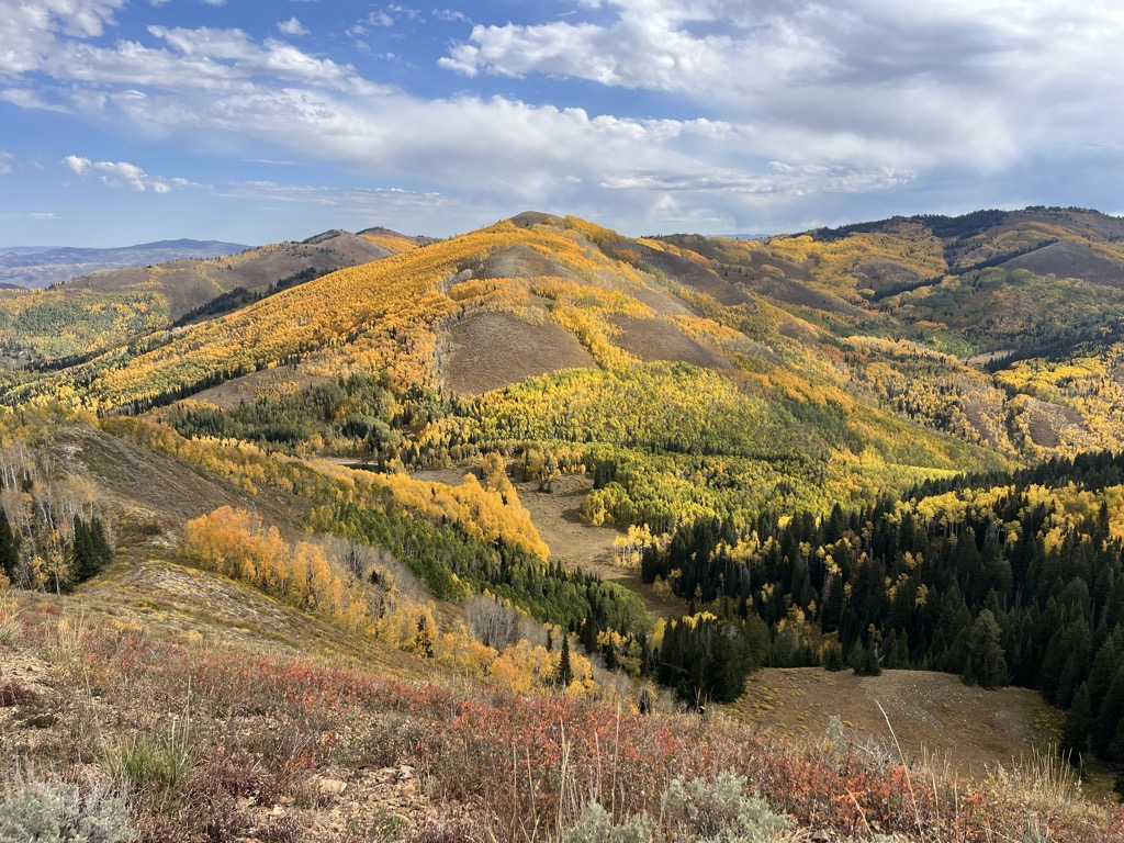 Photo №1 of Reynolds Peak