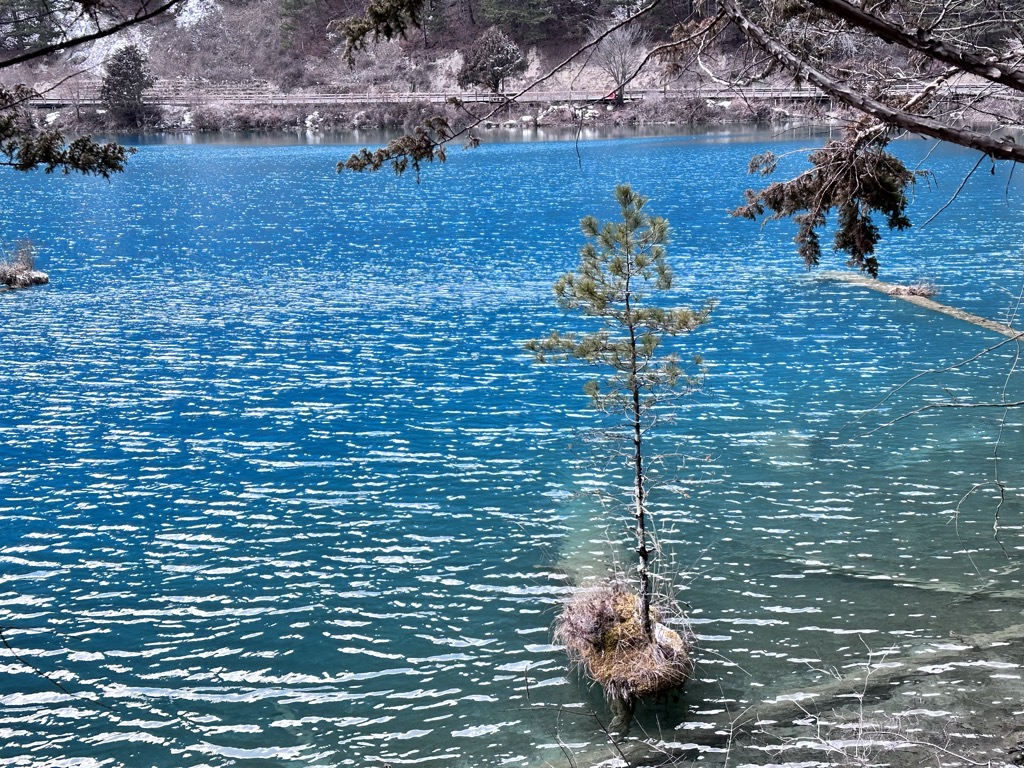 Rhinoceros Lake