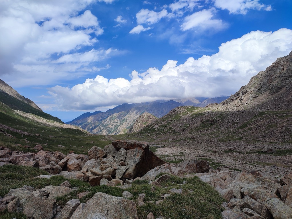Photo №2 of Ricarskii