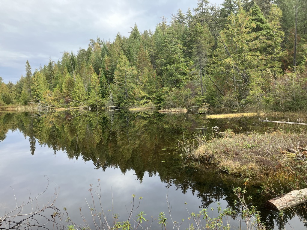 Photo №2 of Ridge Lake