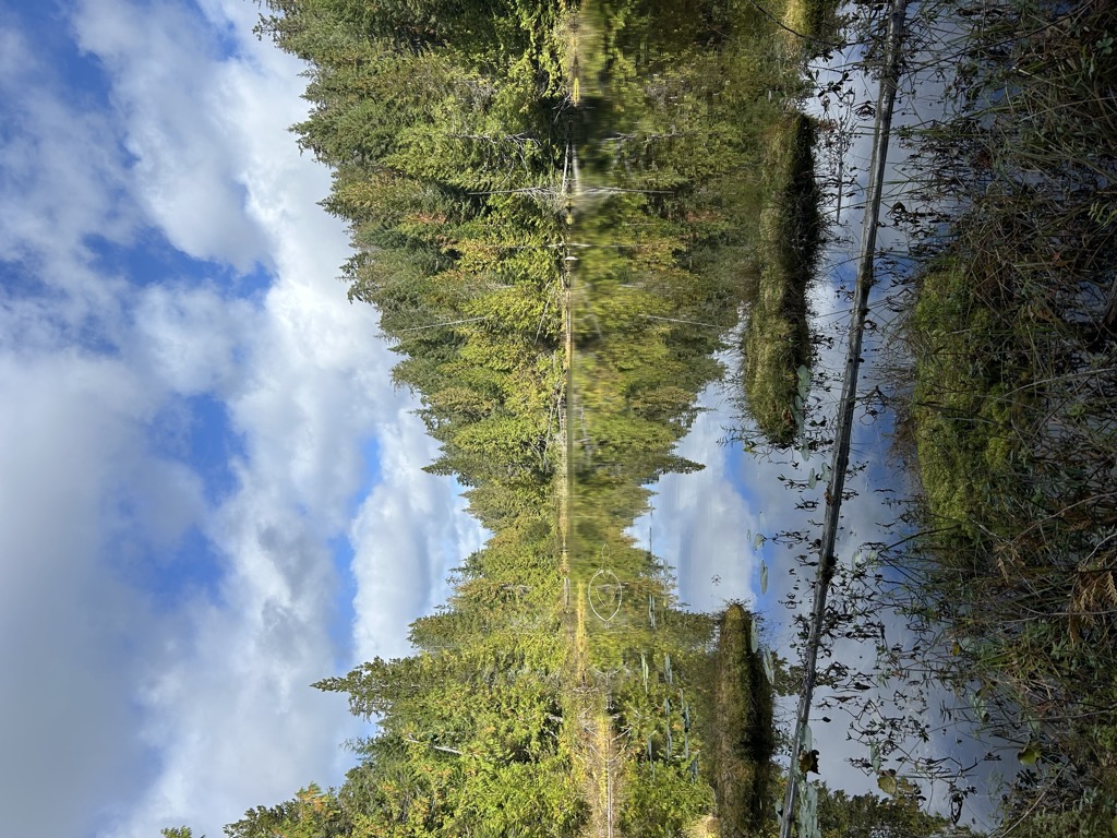 Photo №3 of Ridge Lake