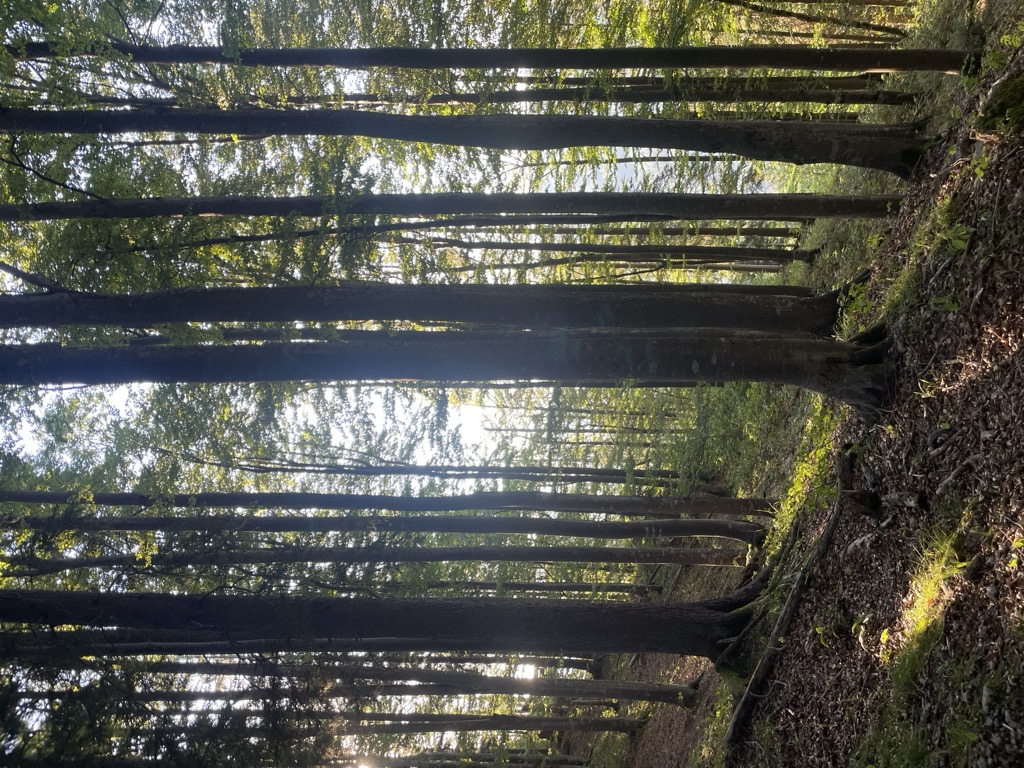 Photo №3 of Riederstein