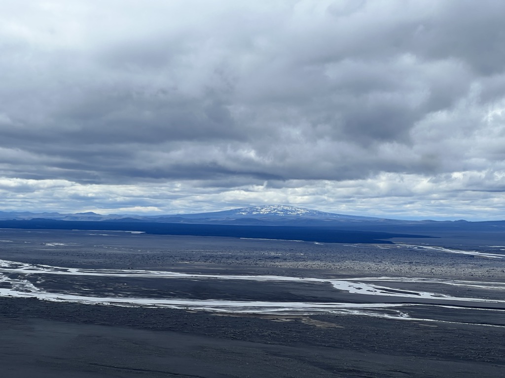 Rifnihnjúkur