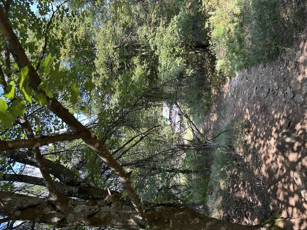 Rifugio Bellano