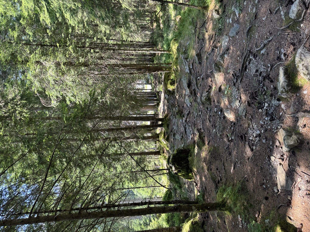 rifugio-carlettini-2