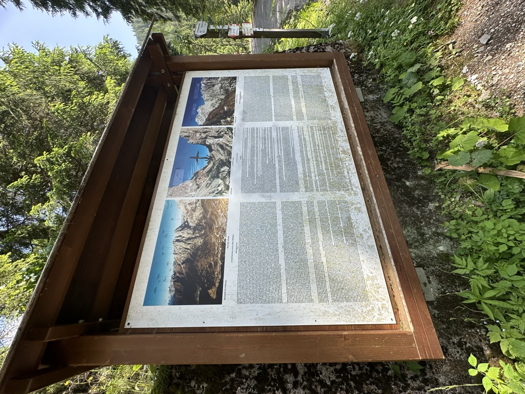 rifugio-edoardo-tolazzi-2