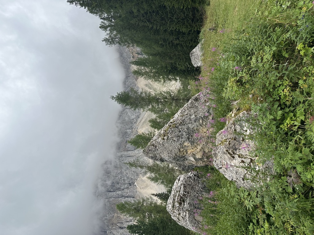 Photo №2 of Rifugio Forestale Mitterleger