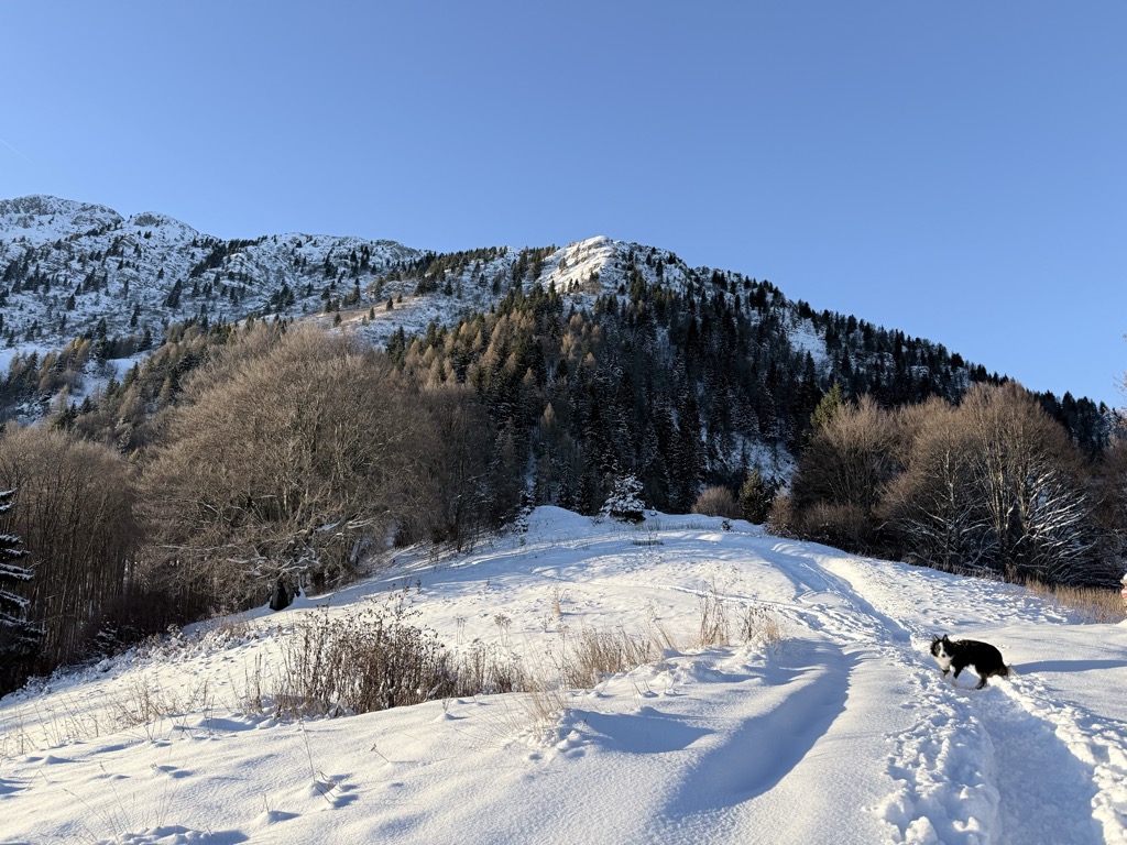 Photo №1 of Rifugio Medelet