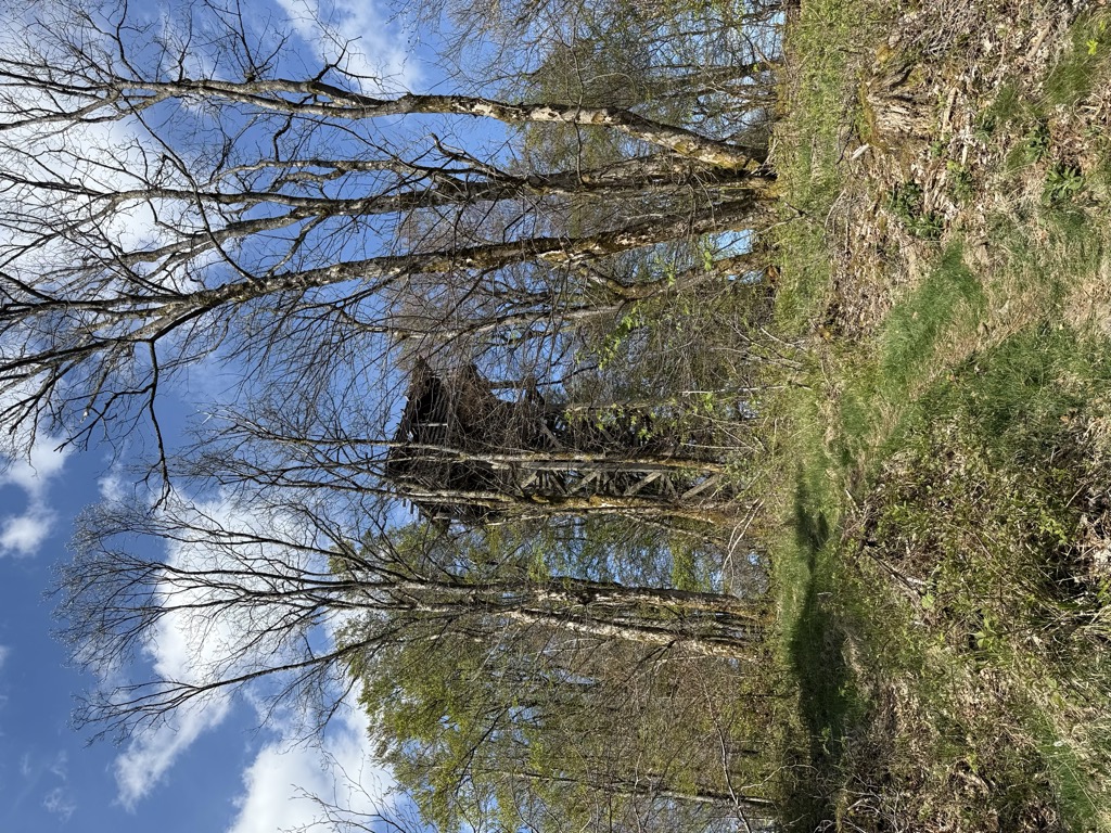 Photo №2 of Rimberg