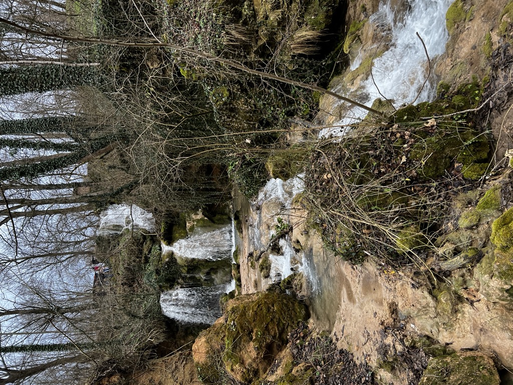 Photo №2 of Ripaljka