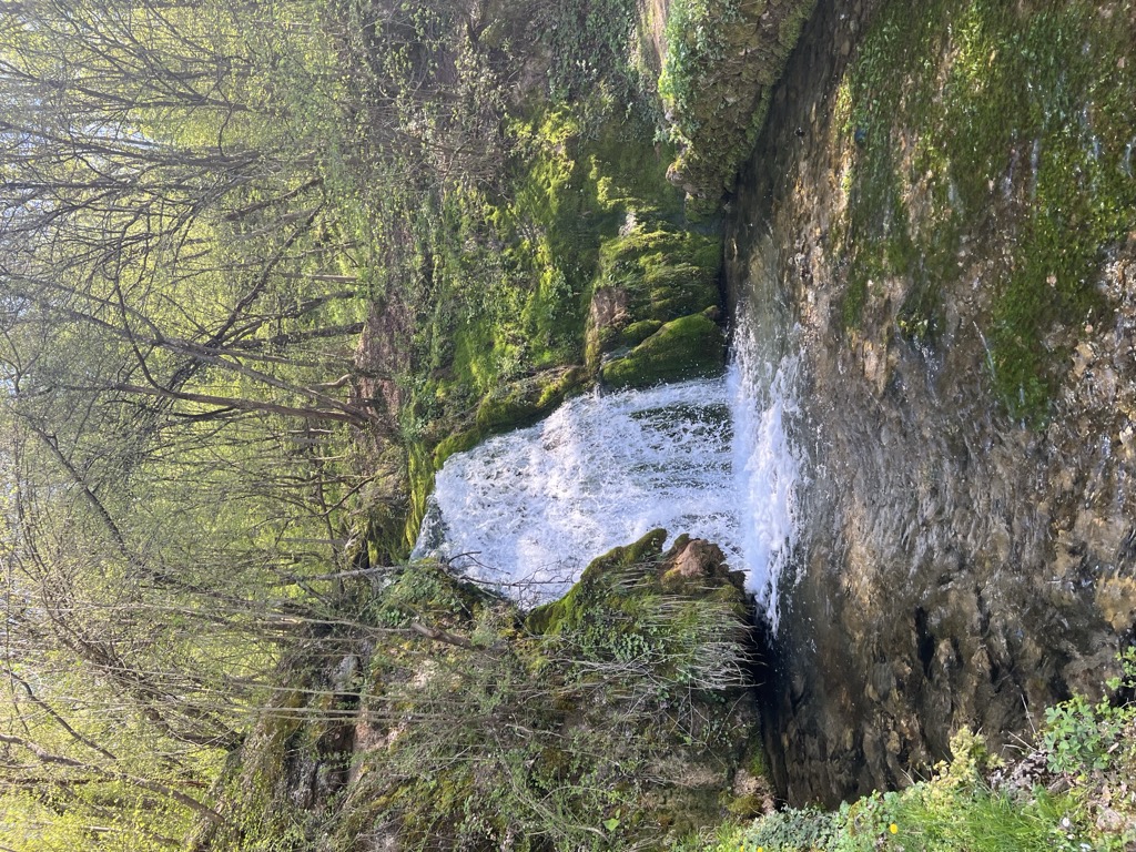 Photo №3 of Ripaljka