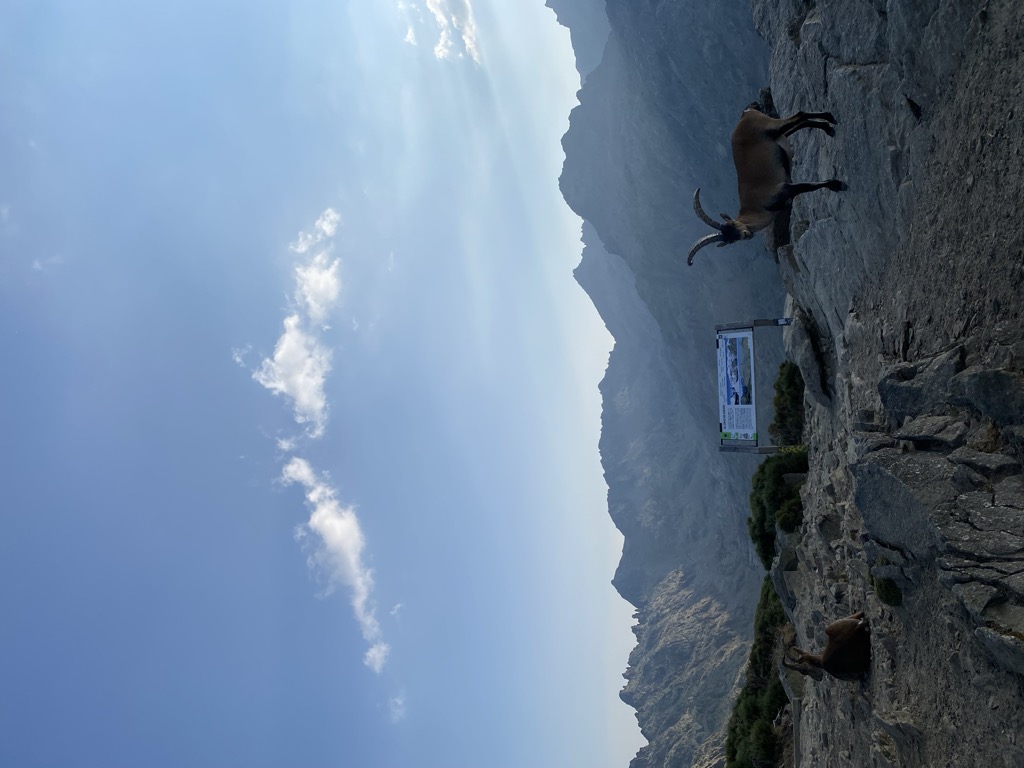 Photo №1 of Risco de los Barrerones