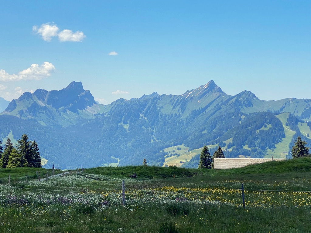 Photo №2 of Risipass
