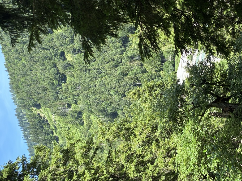 Photo №2 of Risstal